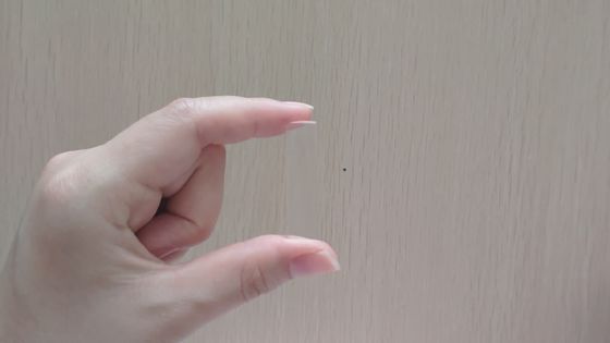 Factory Offer OEM /ODM Quarz Optical Cylindrical Lens 10*45mm